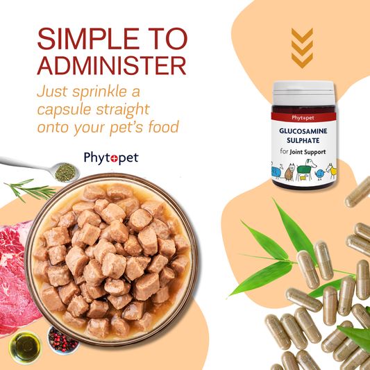 Glucosamine Sulphate 500mg - Joint Support