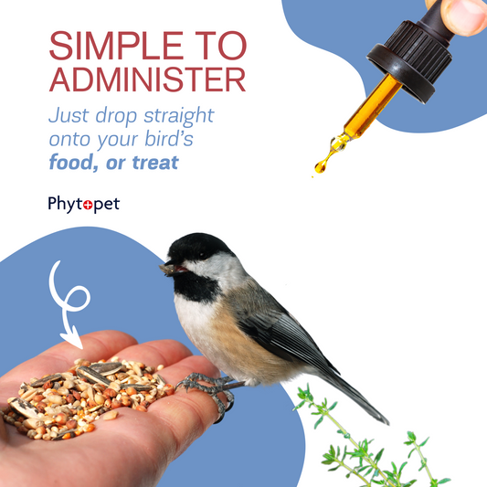 Chicken Wormwood Complex - Supporting intestinal hygiene in Poultry and other birds