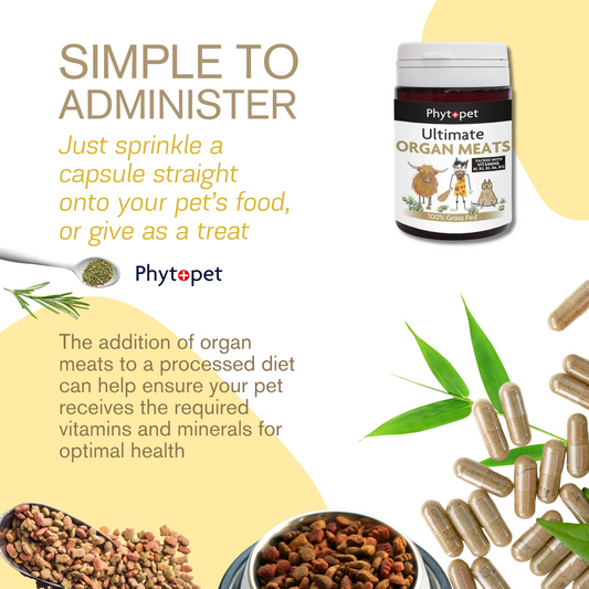 Ultimate Organ Meats Capsules