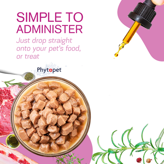 Tum Ease - Digestive Discomfort