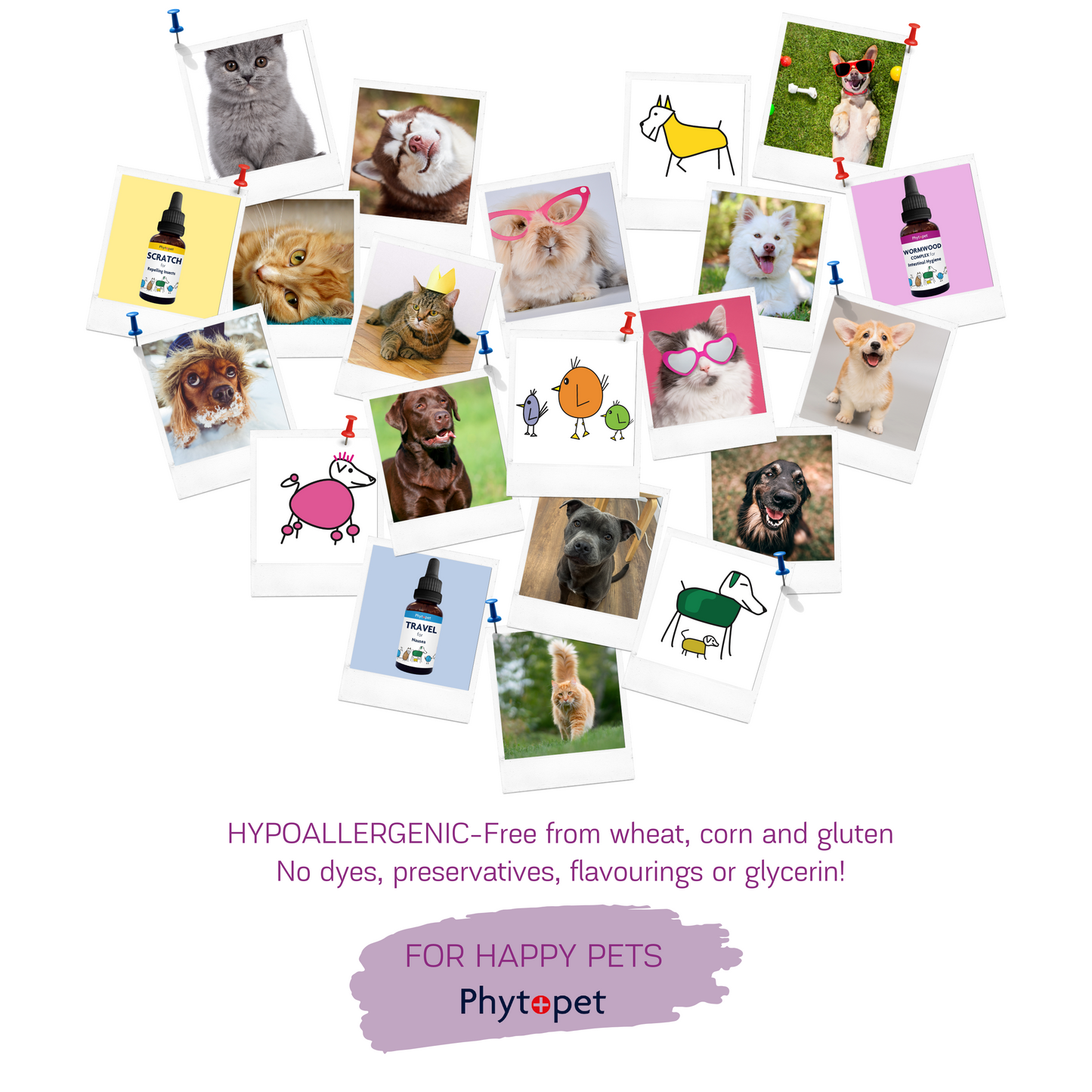 Immune Plus - Immune System Support