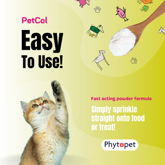 Pet Col 100g for Healthy Tums & Bums