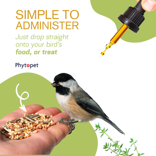 Chicken Squits - To help loose stools in Poultry and other birds