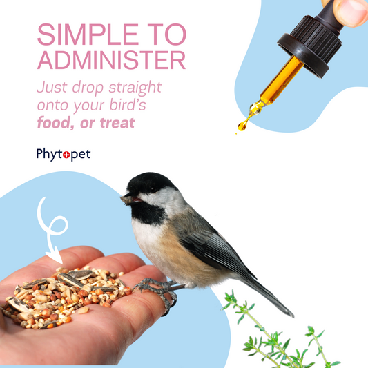 Chicken Immune - Immune support for Poultry, Game and Aviary birds