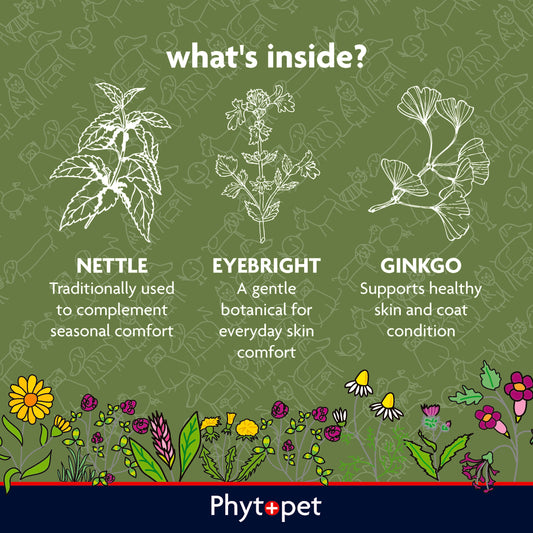 Herbal Itchy & Scratchy (AKA Allergy Aid) Aid