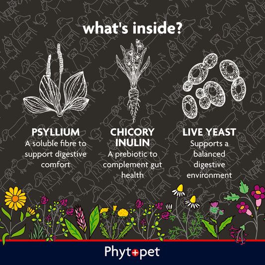 PetCol Colon Care | Daily Fibre & Digestive Support for Pets
