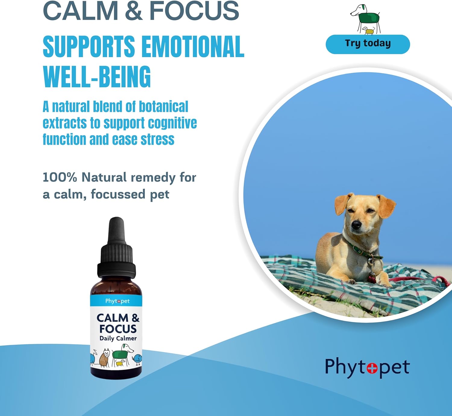 Calm & Focus - Daily Calmer