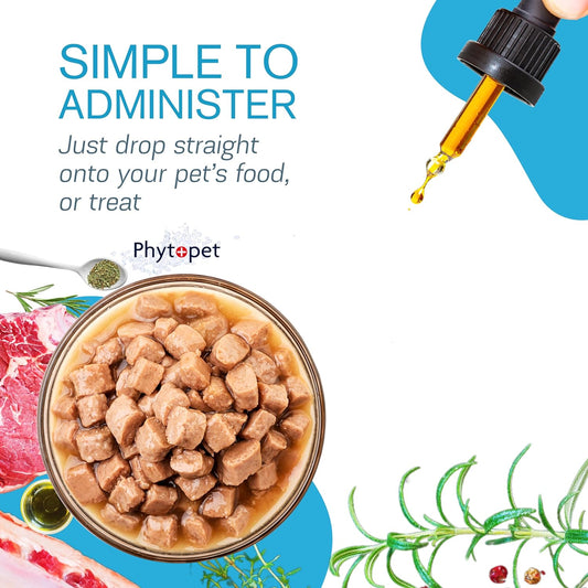 Calm & Focus - Daily Calmer