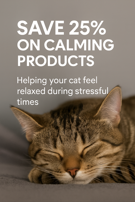 🎆 Worried About Firework Season and Your Cat? 🐱