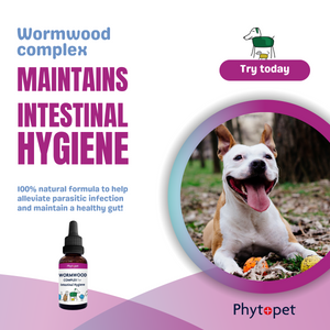 Wormwood Complex - Supports Intestinal Hygiene