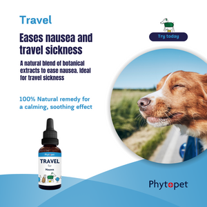 Travel - Motion Sickness