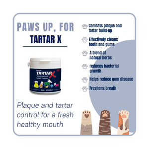 Tartar X