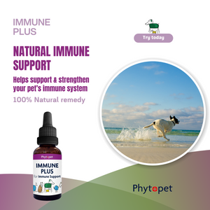 Immune Plus