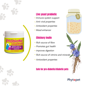 Pro Biotic 100g