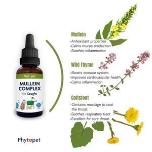 Mullein Complex