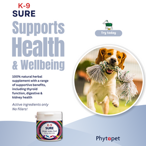 K9-Sure Super Green Food