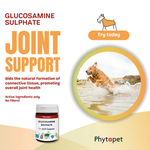 Glucosamine Sulphate 500mg