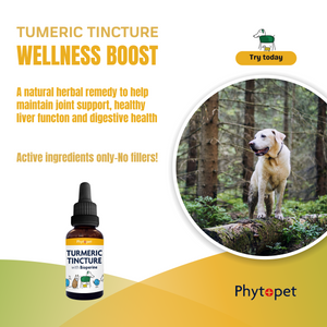 Turmeric and Bioperine