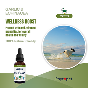 Garlic & Echinacea Complex