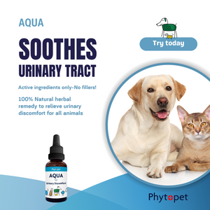 Aqua - Bladder and Urinary tract support.