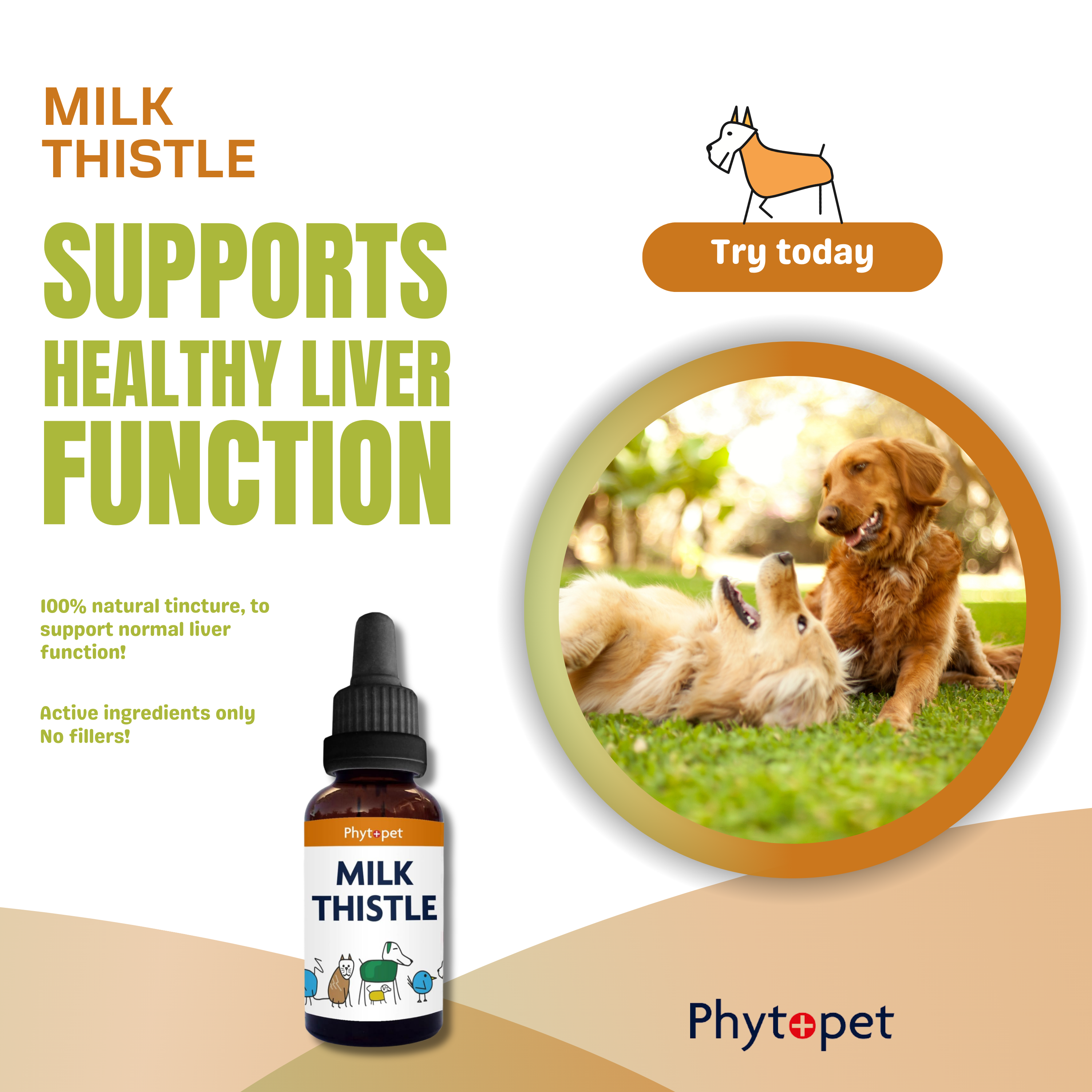 Milk Thistle