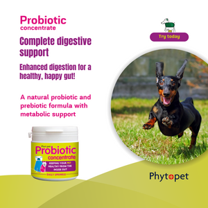 Pro Biotic 100g