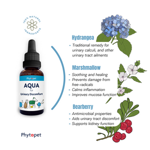 Aqua - Bladder and Urinary tract support.