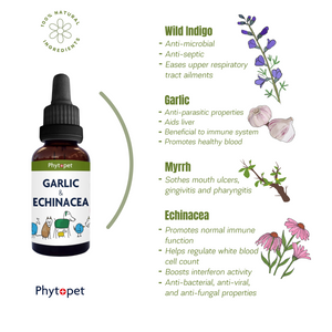Garlic & Echinacea Complex