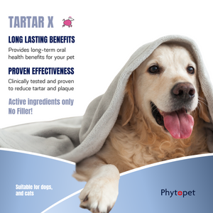 Tartar X
