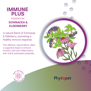 Immune Plus
