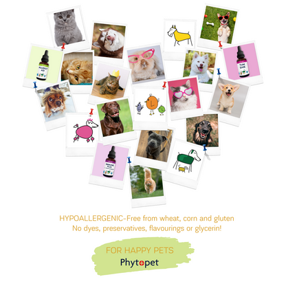 Chicken Squits - To help loose stools in Poultry and other birds