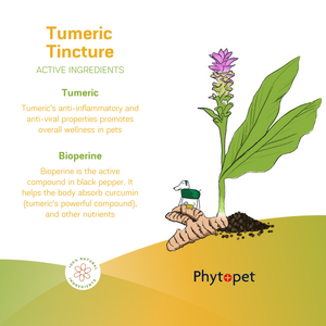 Turmeric and Bioperine