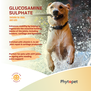 Glucosamine Sulphate 500mg