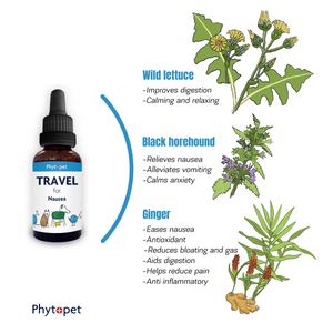 Travel - Motion Sickness