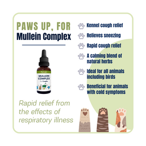 Mullein Complex