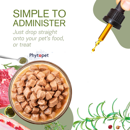 Garlic & Echinacea Complex