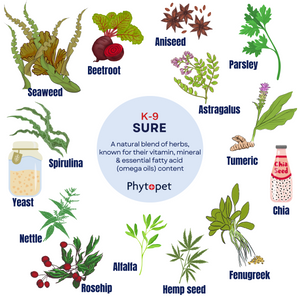 K9-Sure Super Green Food