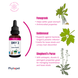 Dry 2 - Herbal support for the 'Squits'