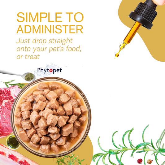 Turmeric and Bioperine