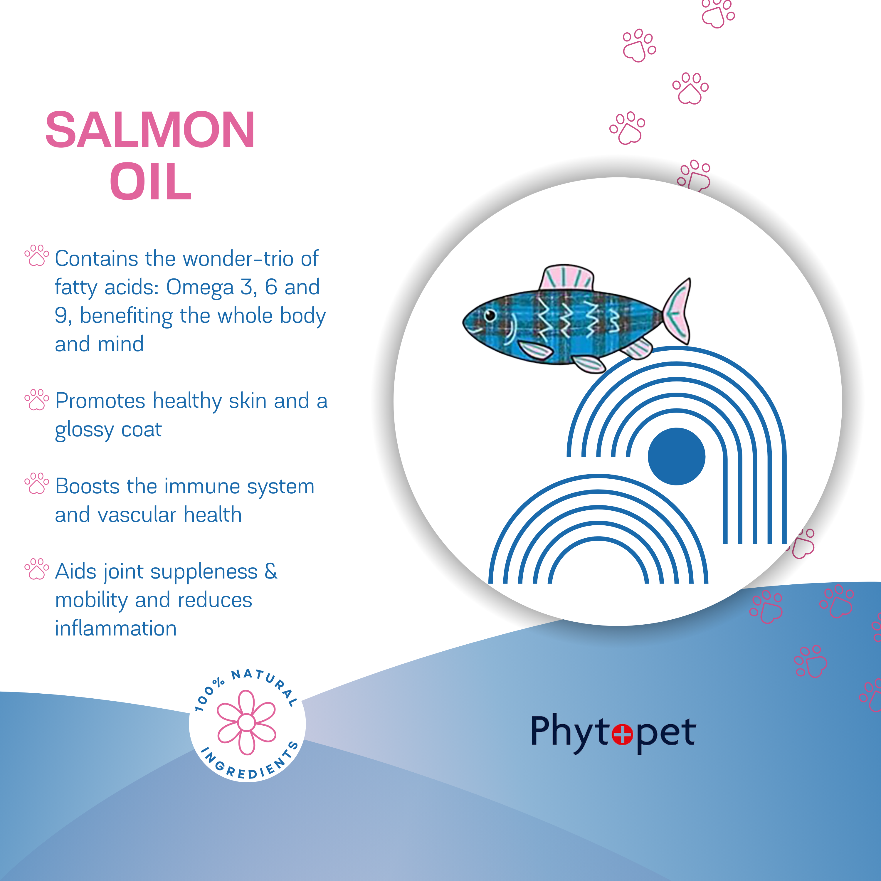 Salmon Oil Plus 300ml Allergy Support