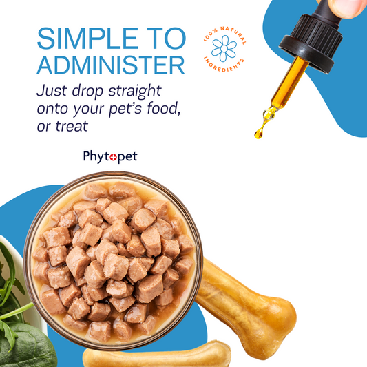 Travel - Motion Discomfort