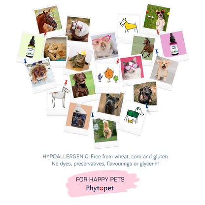 Wormwood Complex - Supports Intestinal Hygiene