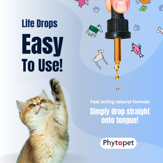 Phytopet Life Drops 10ml - Herbal 'Kick Start'