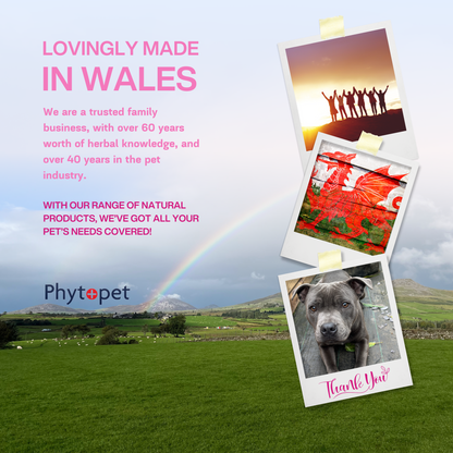 Dry 2 - Herbal Support for Loose Stools