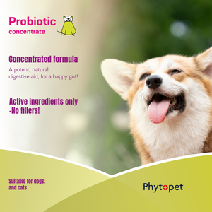 Pro Biotic 100g