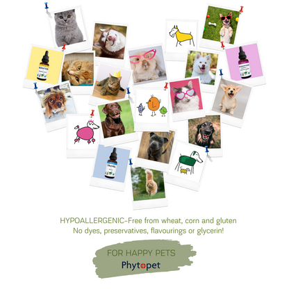 Garlic & Echinacea Complex