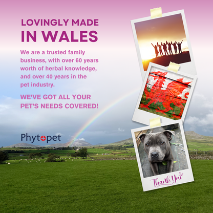 Wormwood Complex - Supports Intestinal Hygiene