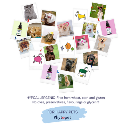 Eye Wash - Soothing, Cooling Herbal Blend to Support Eye Comfort