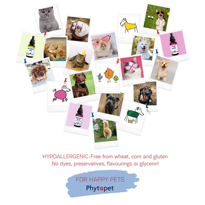 Chicken Wormwood Complex - Supporting intestinal hygiene in Poultry and other birds