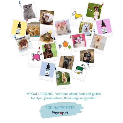 Scottish Salmon Oil 500ml